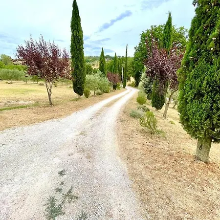Umbrian Hills Flat - Free Parking & Garden * Pérouse