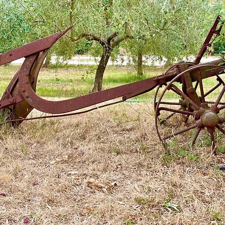 Umbrian Hills Flat - Free Parking & Garden * Pérouse